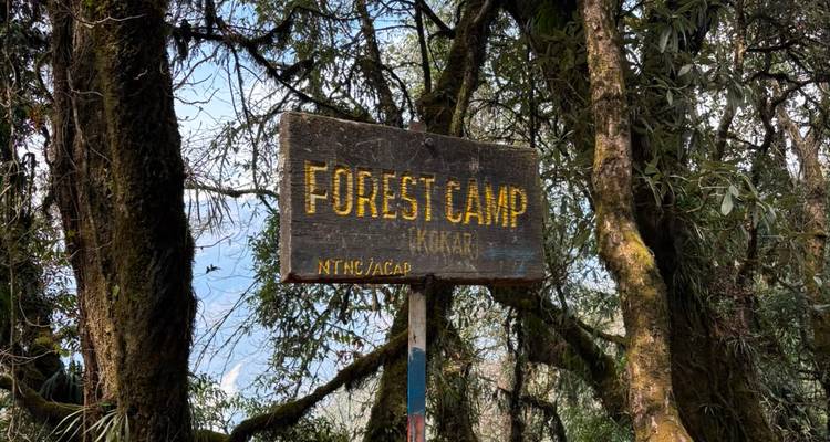 Weathered wooden sign reading "Forest Camp" mounted on a post amid dense green Himalayan forest