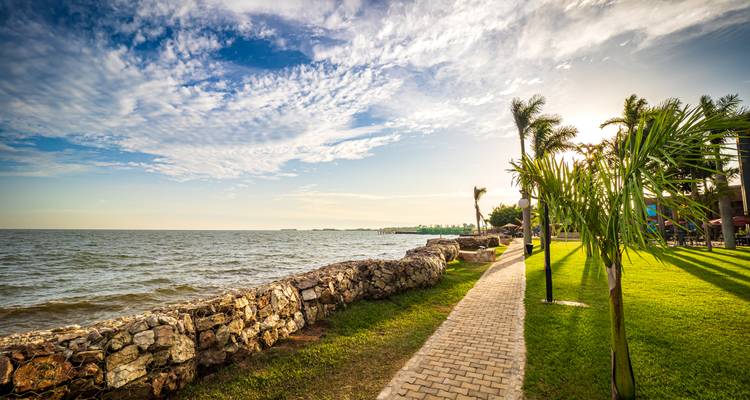 Coastal promenade with palm trees and stone seawall along Lake Victoria under dramatic clouds.