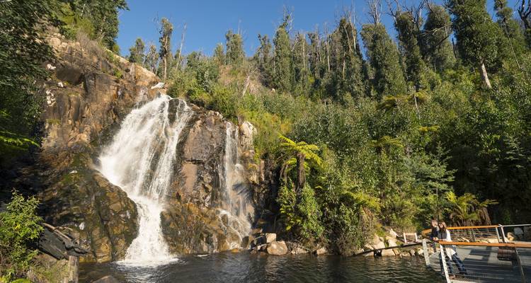 A waterfall cascading down rocks surrounded by lush forest.