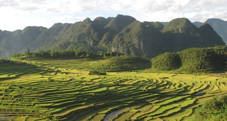 Terraced rice fields with mountains in the background.