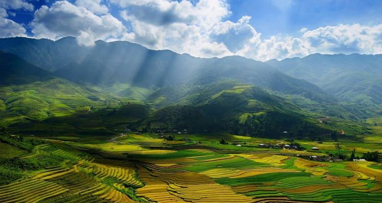 Terraced fields with mountains in the background.