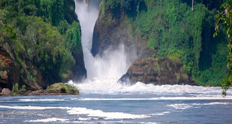 3 Day Wildlife Safari - Entebbe Karibu Tours And Travel Co Ltd