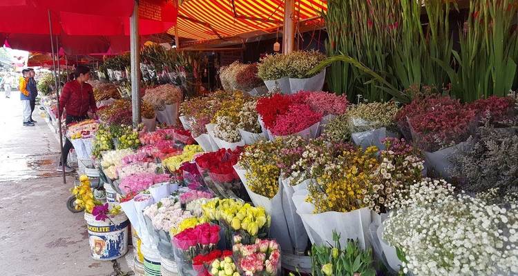 Hanoi city tour one day - Vktour