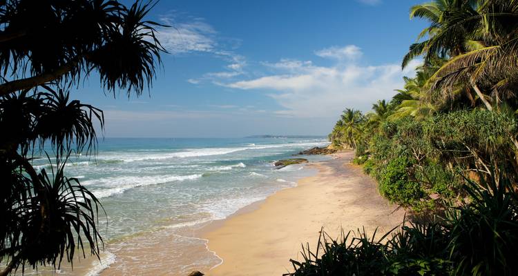 Tropisch strand met palmbomen en golven.