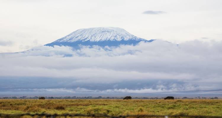 De Kilimanjaro met een bewolkte lucht, gezien vanaf de vlaktes.