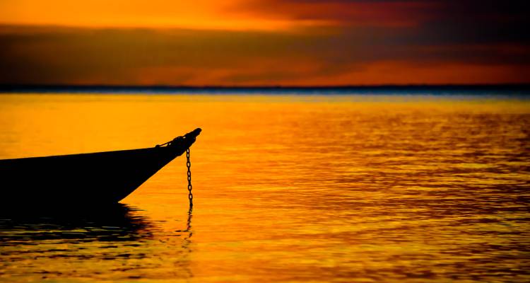 Photo Tour 3 - TEA Active Tour - Sand, Trees & Wildlife - TEA - Tapajós Extreme Adventures