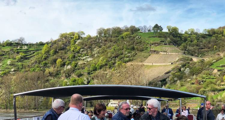 Des personnes à bord d'une croisière profitant de la vue sur le paysage.
