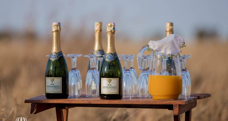 Tafel met champagneflessen en glazen sinaasappelsap klaargemaakt voor een viering na de vlucht in de bush
