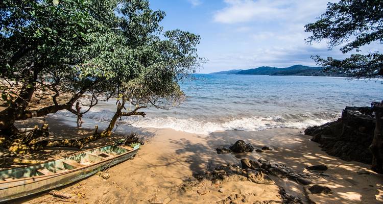 Una playa con un pequeño bote y árboles junto a la orilla.