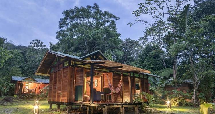 Cabaña de madera rodeada de exuberante vegetación