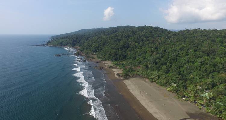 Vista aérea de una costa boscosa con olas rompiendo en la playa.