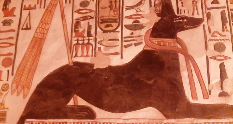 Ancient Egyptian depiction of Anubis with hieroglyphs.