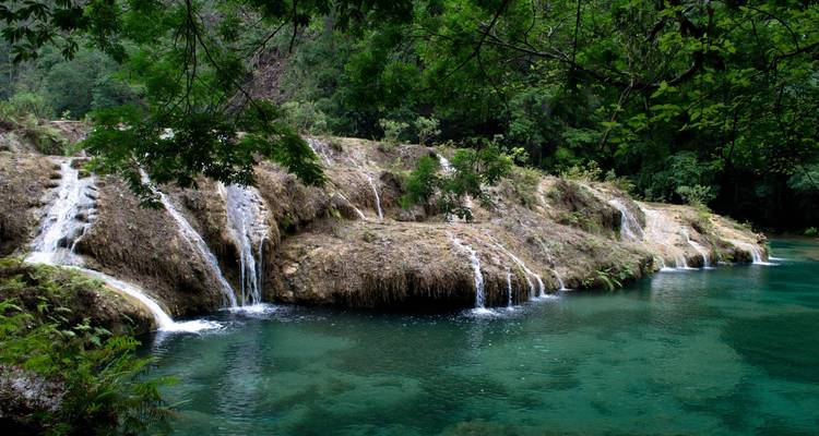 Cascada exuberante en un bosque con agua cristalina.