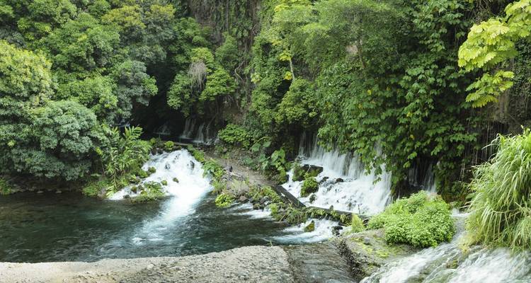 Multiple waterfalls in a lush forest setting.