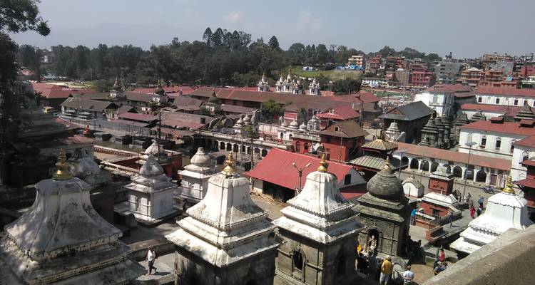Eine Ansicht von historischen Gebäuden und Schreinen in einem Komplex.