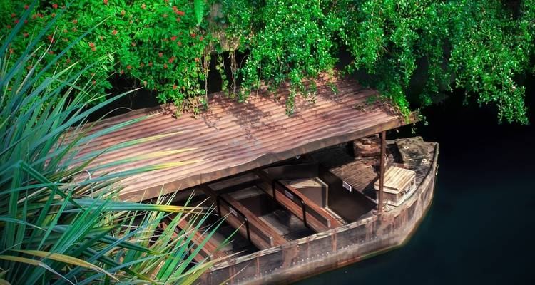 A rustic wooden boat on still waters surrounded by greenery.