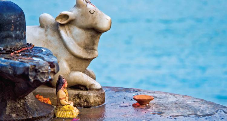 Golden triangle with Divine Haridwar and Rishikesh - Discover Activities