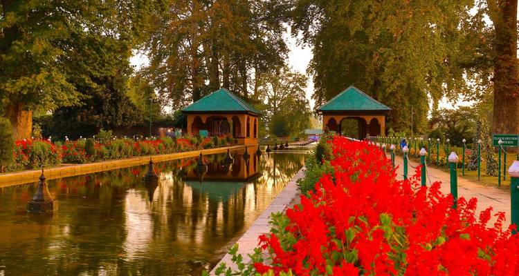 Beau jardin avec des fleurs et des jeux d'eau au coucher du soleil.