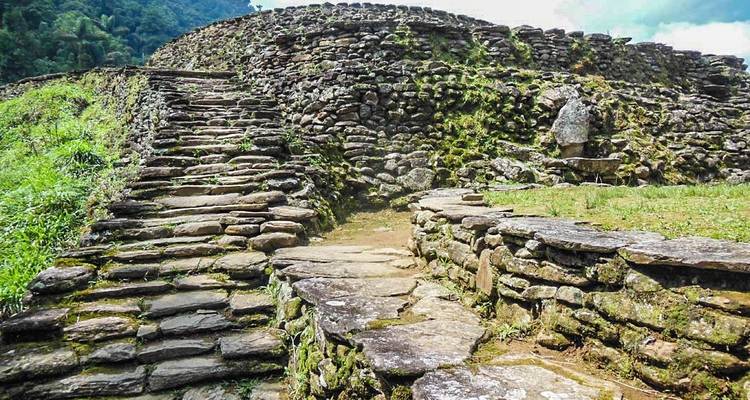 Sendero de piedra que conduce a antiguas estructuras escalonadas.