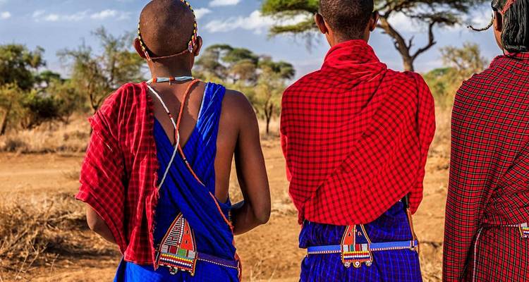 Rear view of Maasai warriors in vibrant red and blue shukas standing on dusty savanna.
