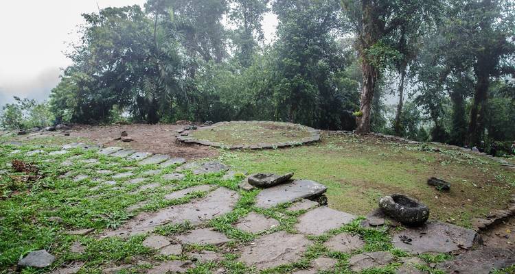 Alte Terrassenreste umgeben von üppigem Wald.