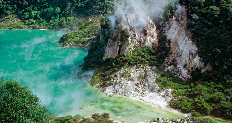 The Great North Island Tour - 3 Days - Headfirst Travel