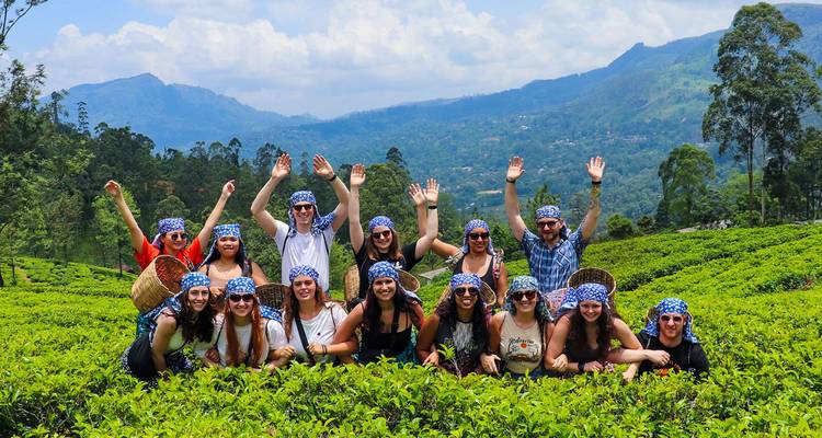 Group of people under a blue sky posing in tea fields.