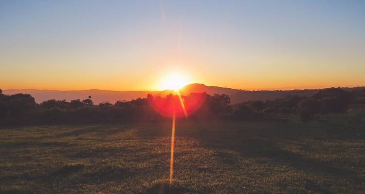 Sonnenuntergang über einer grasbewachsenen Landschaft.