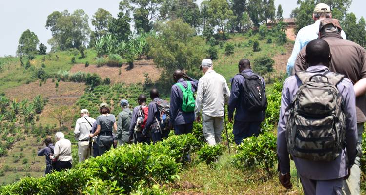 Gruppe von Wanderern, die einen Weg entlang gehen, umgeben von Grün.
