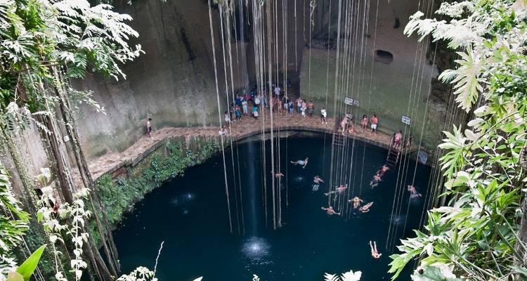 Cenote mit schwimmenden Menschen und hängender Vegetation.
