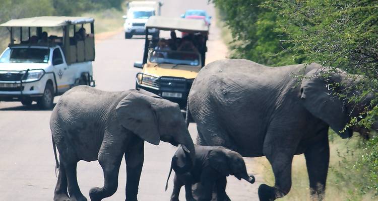 Kruger National Park 3 Days 2 Nights Magical Safari from Johannesburg - Africa Moja Tours & Transfers