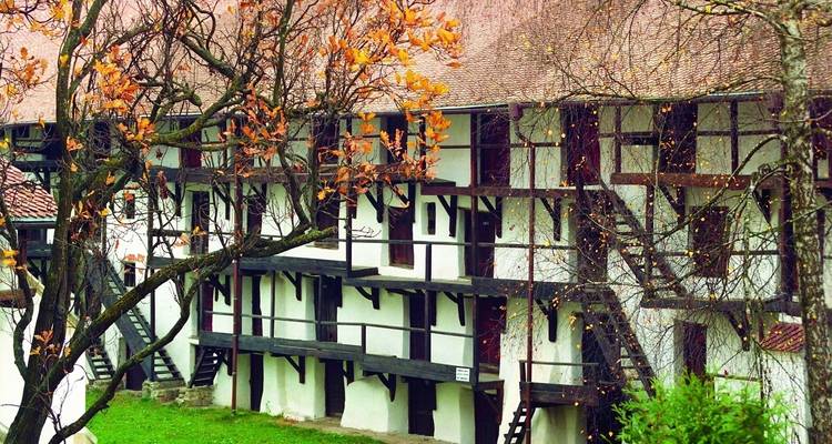 Exterior view of a historic building with autumn leaves