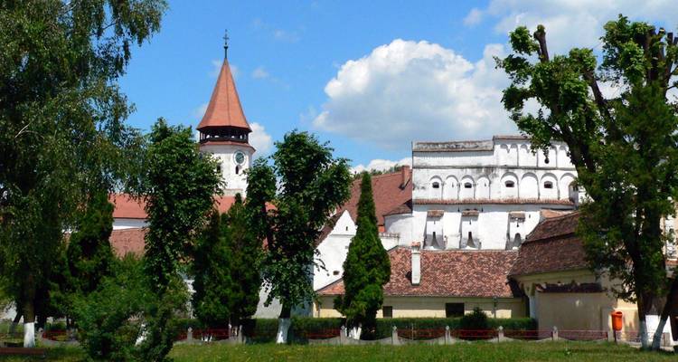Historic building complex with a tower amidst greenery