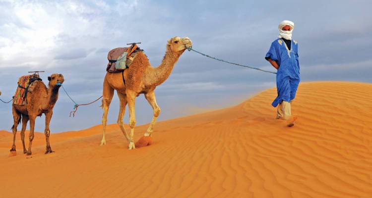 South Morocco Discovery - Intrepid Travel