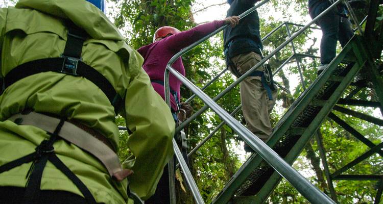 Teilnehmer, die eine Metalltreppe zur Seilrutschenplattform im dichten Regenwald hinaufsteigen