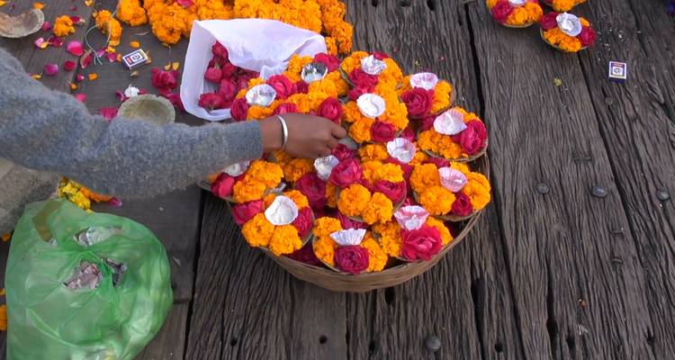 Rishikesh & Haridwar Tour with Temples, ashrams, Pooja and food experience - Bhagirathi Tour & Travel