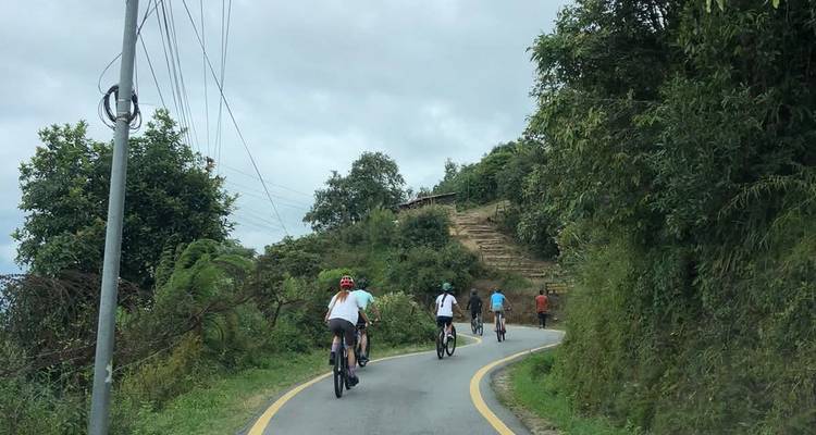 Les cyclistes pédalent sur une route de montagne sinueuse bordée de végétation sous un ciel couvert.