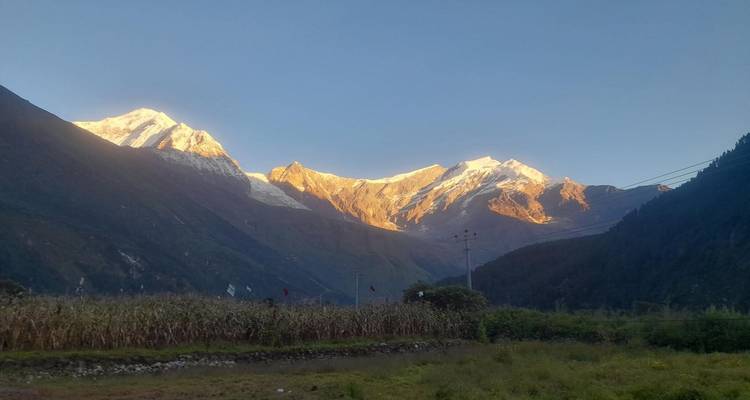 La lumière dorée du matin illumine les pics enneigés de l'Himalaya au-dessus d'une vallée rurale et d'un champ de maïs.