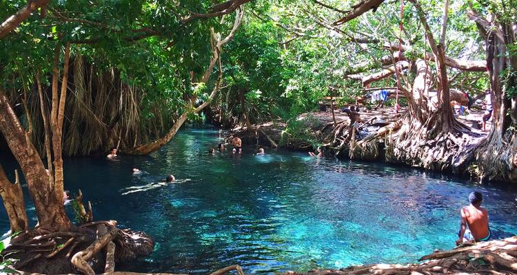 People swimming in a clear blue water pool surrounded by trees.