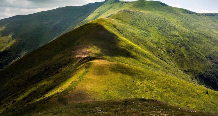 Green hills undulating under clear sky.
