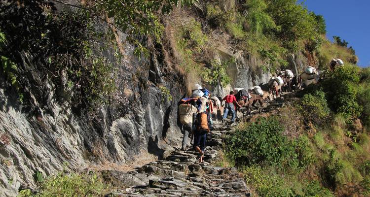 Een groep mensen en vee die op een steil bergpad loopt.
