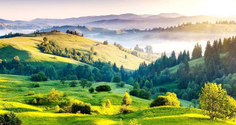 Ooty Coorg Tour - Ramble Tour And Travel