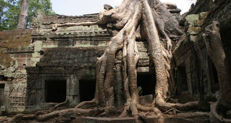 Ancient temple ruins entwined by massive tree roots at Ta Prohm.