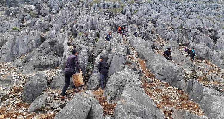 People navigating rocky terrain with baskets.