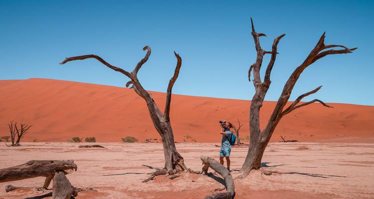 A person standing beside barren trees in a desert.
