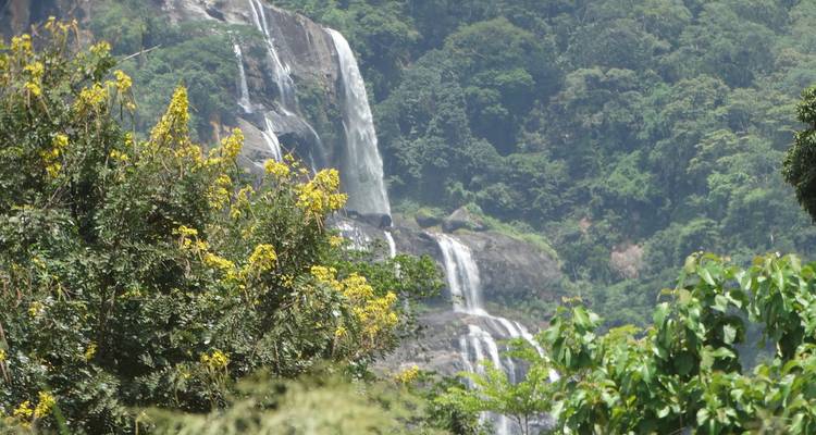Waterfall flowing down from a mountain with dense forest around.