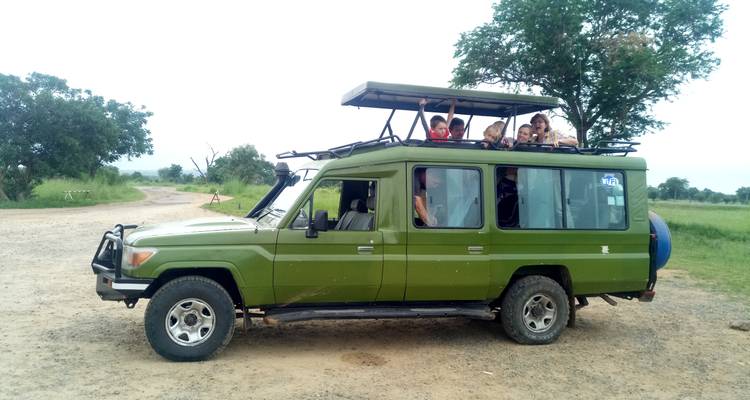 Safari vehicle with people observing wildlife, under a cloudy sky.