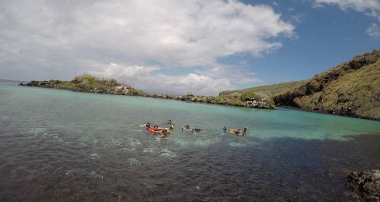 Group of people snorkeling near a rocky shore with clear water.