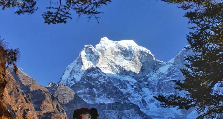 Montagne enneigée avec ciel bleu et arbres encadrant la vue.