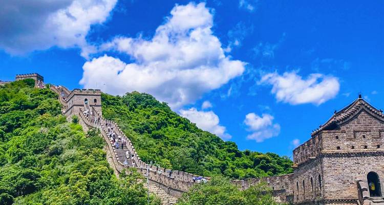 La Grande Muraille de Chine serpentant sur des collines verdoyantes et luxuriantes sous un ciel bleu éclatant parsemé de nuages blancs.